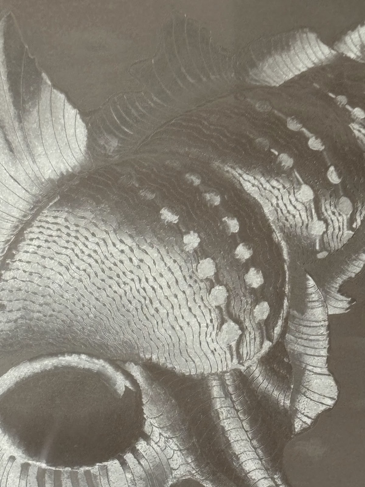 Iridescent Conch Artwork [Germany, 1980s]